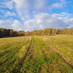 Wanderlust ヴァルタースハウゼン