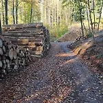 Wanderlust * ヴァルタースハウゼン