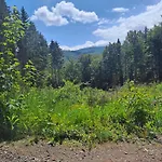 Wanderlust Feriehus *