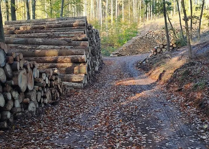 Wanderlust * Waltershausen