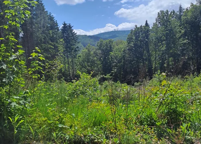 Wanderlust Hébergement de vacances *